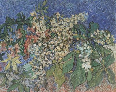 Vincent Van Gogh Blossoming Chestnut Branches (nn04) oil painting picture